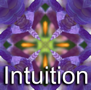 Intuition